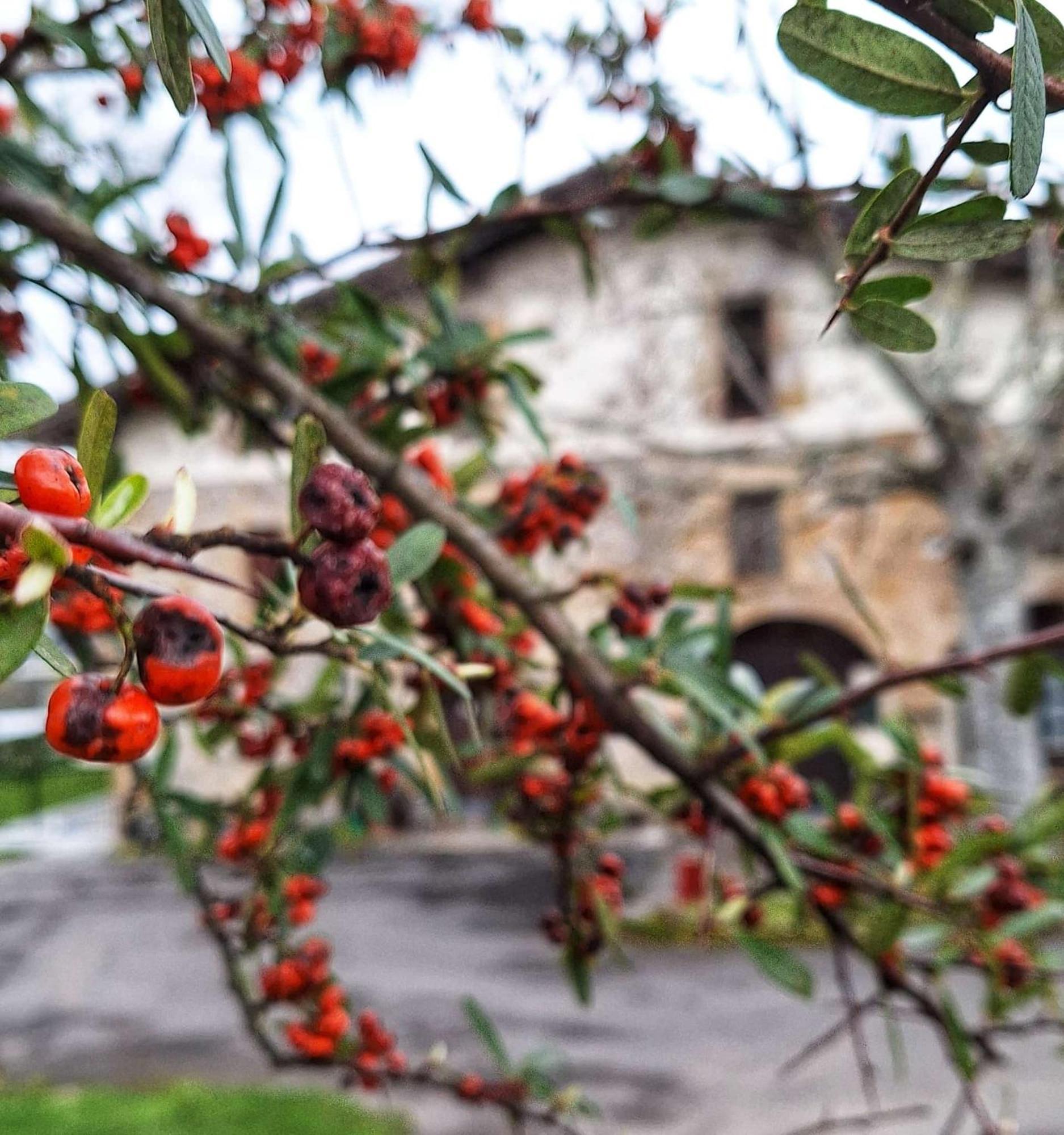 Casa Rural Areano Escoriaza Εξωτερικό φωτογραφία