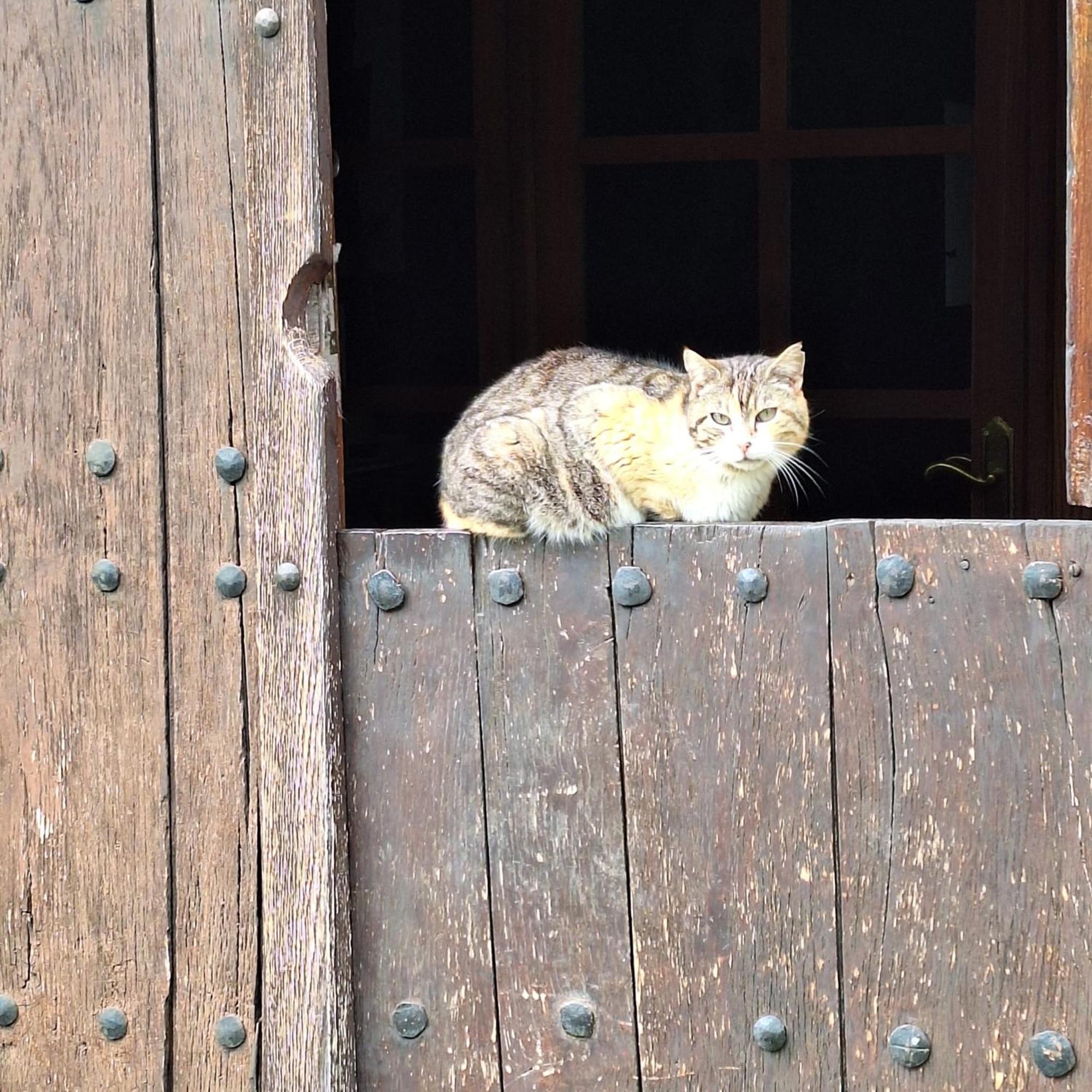 Casa Rural Areano Escoriaza Εξωτερικό φωτογραφία